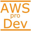 2022 AWS Developer Assoc. PRO icon