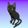 Explorer Cat icon