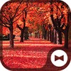 Autumn Trees icon