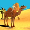 Camel Simulator icon