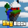 Sky & Block Race 3D : multipla icon