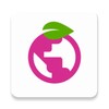 Berry Browser icon