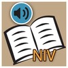 NIV BIBLE apps: audio and book icon