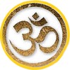 Vedic Astro icon