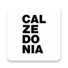 Icono de Calzedonia