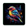 Birds ringtones, birds sound icon