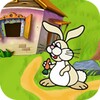 Fun Bunny Adventure icon