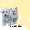 TU-MASCOTA 아이콘