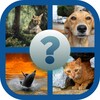 ¿Guess the picture?Animals icon