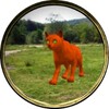 Wild Cats: Avatar Maker 3D icon