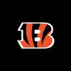 Biểu tượng Bengals