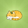 Cat_Forest icon