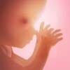 Pregnancy + icon