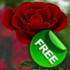 3D Rose Live Wallpaper Free icon