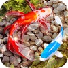 Икона Fish Tank Animated Keyboard + Live Wallpaper