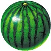 Ícone de watermelon prober