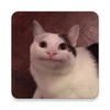 Icon von Stickers: Cute Funny Animals