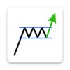 Icon von Profitable Chart Patterns