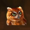 Pictogramă The Owl