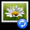 Digital Pictures Recovery Software icon