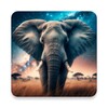 Icono de Elephant HD Wallpapers