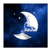 Tarot Fox icon