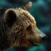 Bear Escape icon
