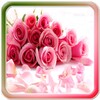 Biểu tượng Love Rose Quotes