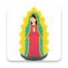 La Rosa de Guadalupe icon