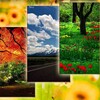 أيقونة Nature Wallpapers 1