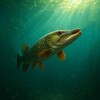 The Pike आइकन