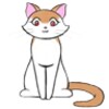 CatchTheCat icon