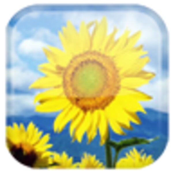 Sunflower for Android - Download the APK from Uptodown