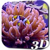 Aquarium Video Live Wallpaper icon