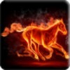 3D Flame Live Wallpaper icon