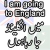 English to Translation icon