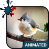 Icono de Birdy Animated Keyboard + Live Wallpaper