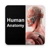 Human Anatomy Quiz icon
