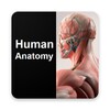 Biểu tượng Human Anatomy Quiz