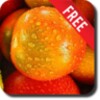 Fruits And Water Free icon