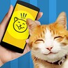 ไอคอน Cat Phrasebook Translator