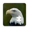 Icono de Eagles Puzzle