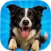 Pocket Paws: My lovely dogs feature