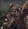 The Rats in the Wall icon