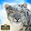 Snow Wild Leopard Attack Sim icon