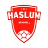 Haslum Håndballklubb icon