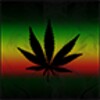 Rasta Live Wallpaper icon