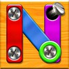 Screw nuts and bolts Game 2023 icon
