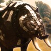 Boar King Life Simulator icon