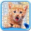 Puzzle cats and kitty icon